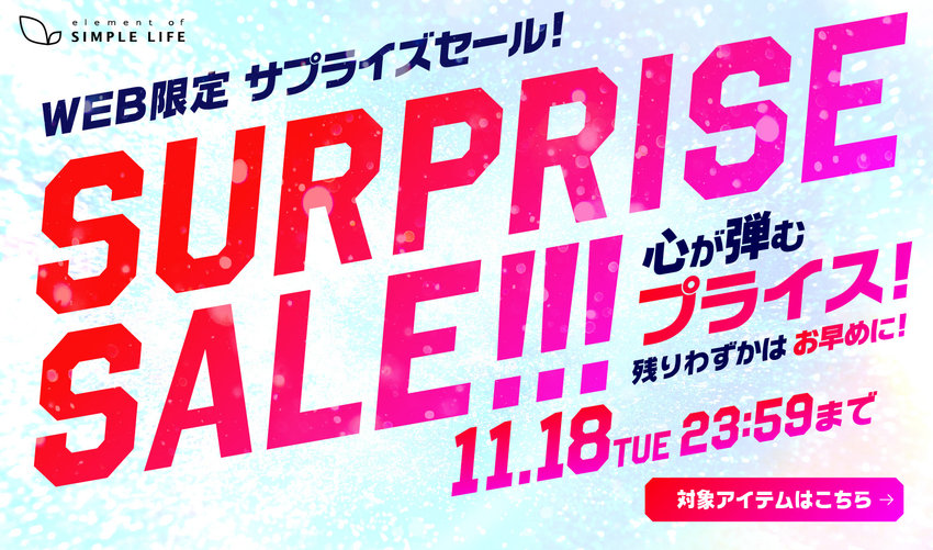 WEB限定 / Surprise Sale / サプライズセール
