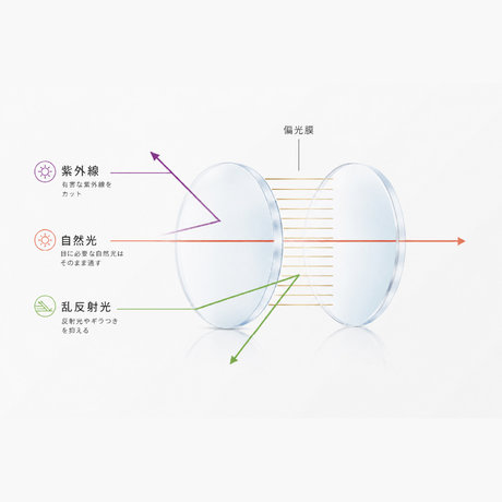 偏光膜が乱反射光をカットする図解