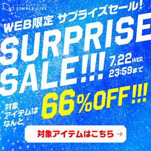 WEB限定/サプライズセール！対象アイテムは なんと 66%OFF！！！
