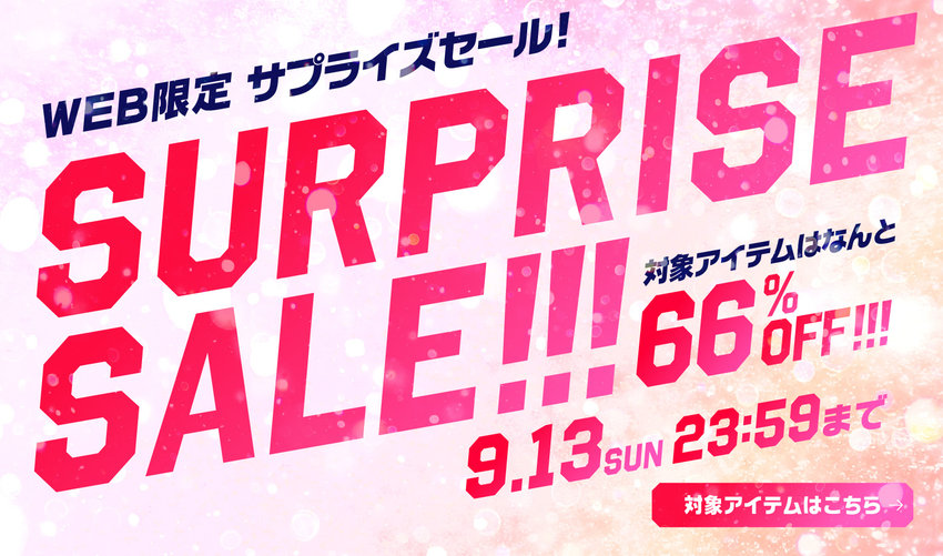 WEB限定/サプライズセール！対象アイテムは なんと 66%OFF！！！