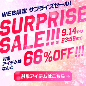 WEB限定/サプライズセール！対象アイテムは なんと 66%OFF！！！