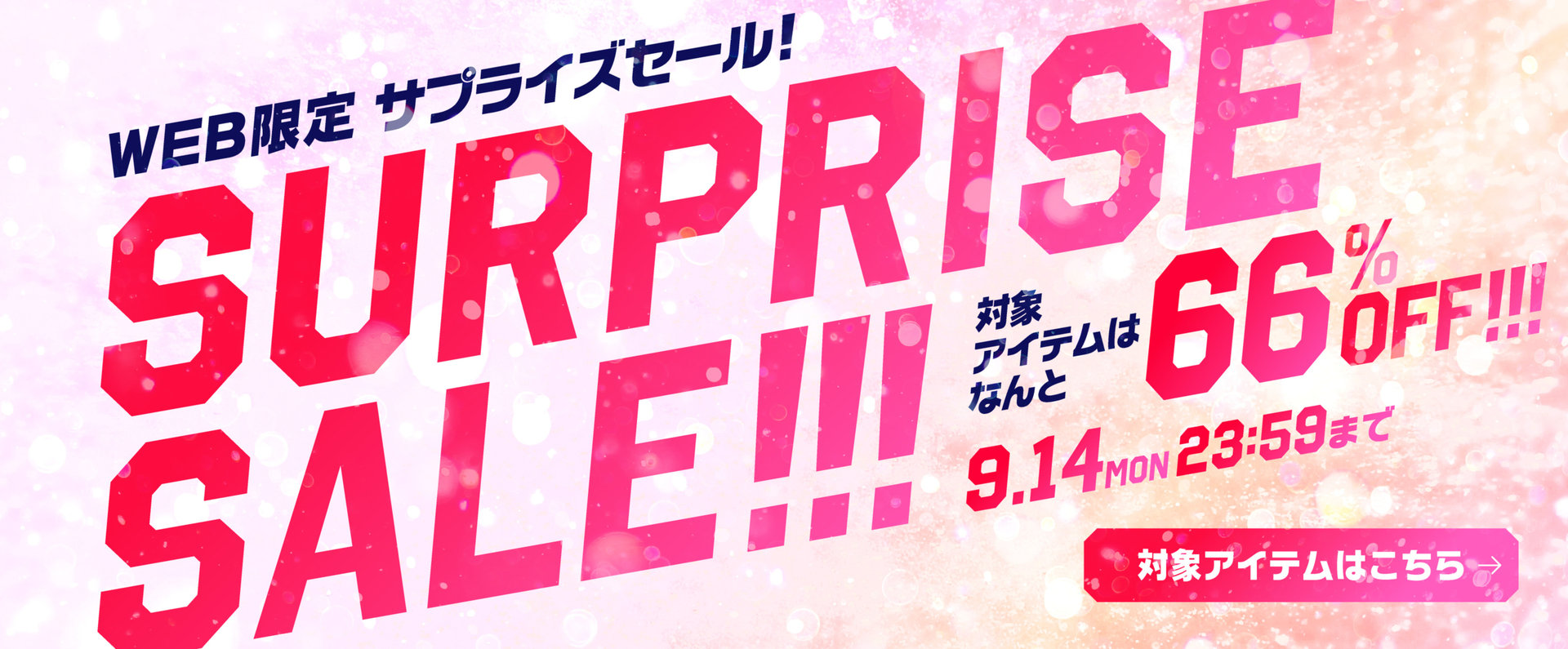 WEB限定/サプライズセール！対象アイテムは なんと 66%OFF！！！